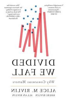 Cover of Divided we Fall