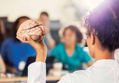Instructor holding model of brain.