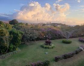 哥斯达黎加的黄昏, 前景是草和树，背景是滚滚的云