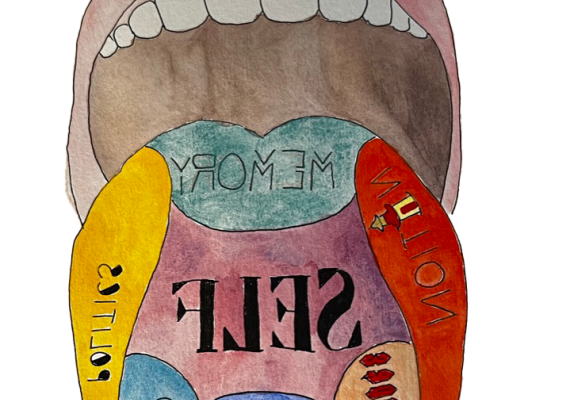 A hand-drawn open mouth with a tounge sticking out. The tounge is divided into colored sections labeled clockwise from left "nation", "memory", "politics", "class", "history", "culture", and at the center, "self".
