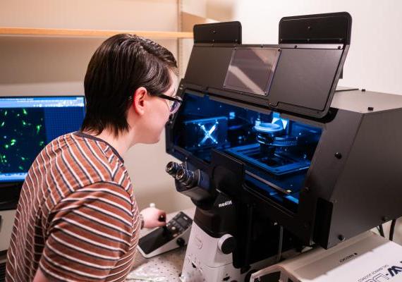 凯尔·布莱德索使用新型共聚焦显微镜