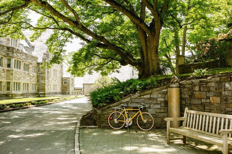 Rhoads exterior with bike, bench, and owl